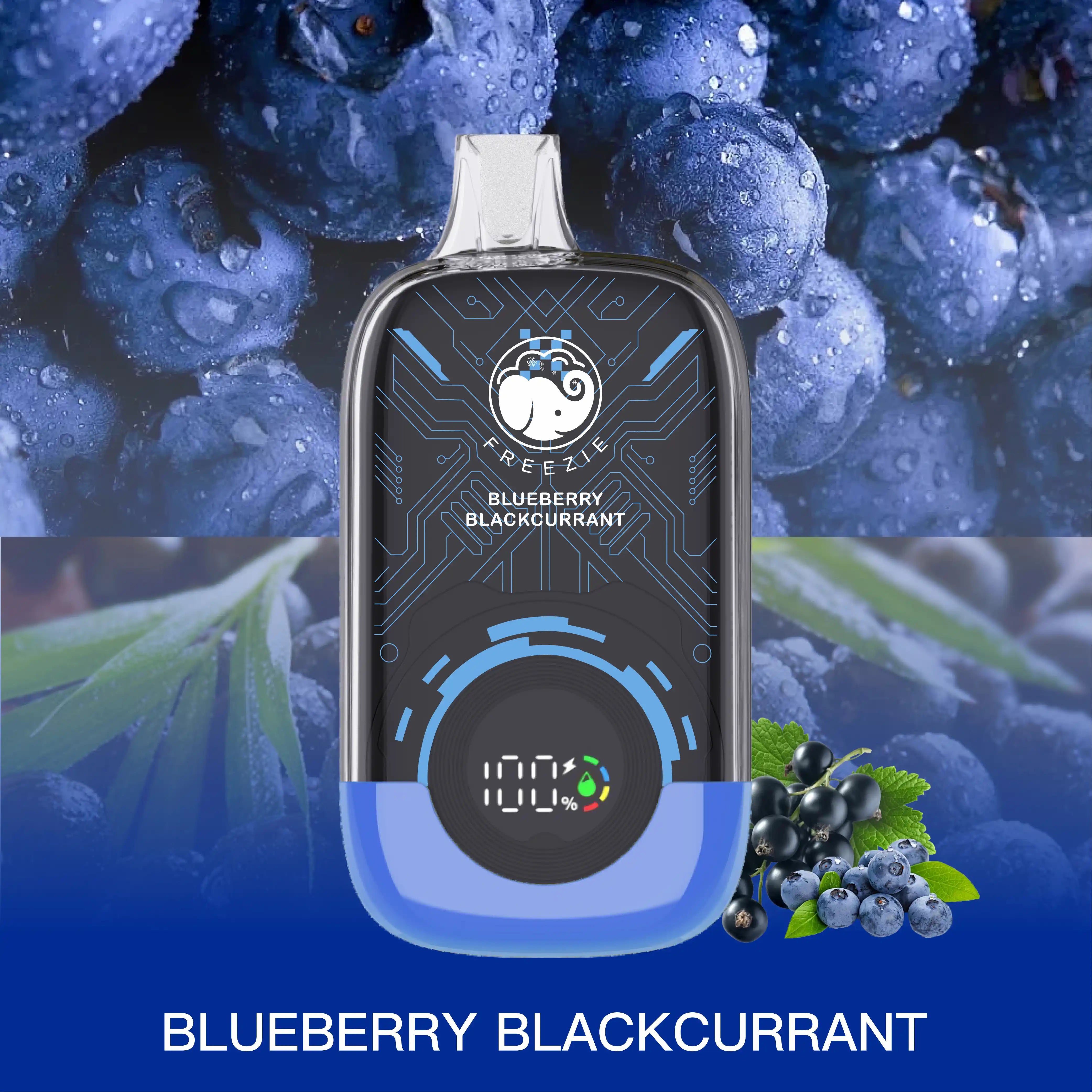 Buy Blueberry Blackcurrant 15000 Puffs Disposable Vape Long-Lasting Flavor | Freezie Life FREEZIE Life Buy Blueberry Blackcurrant 15000 Puffs Disposable Vape Long-Lasting Flavor | Freezie Life FREEZIE Life