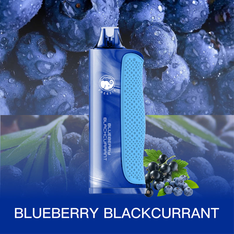 Blueberry Blackcurrant Disposable Vape - 600 Puffs  FREEZIE Life