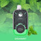 Spearmint Disposable Vape - 15000 Puffs